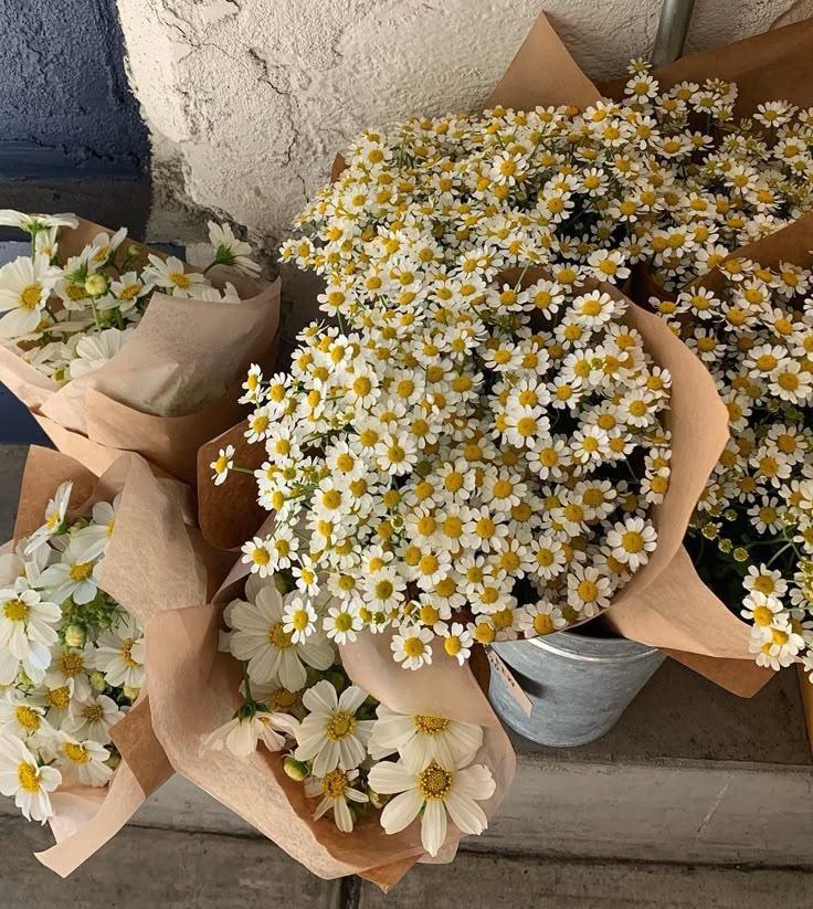 Secret Garden Wildflower Symphony